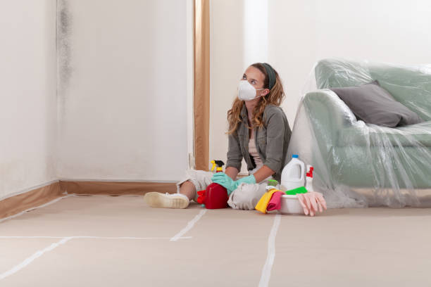 Reliable Mold Removal contractor in Naples, TX by WQB Mold Removal